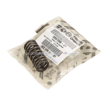 Ventilfjäder från Autofrance