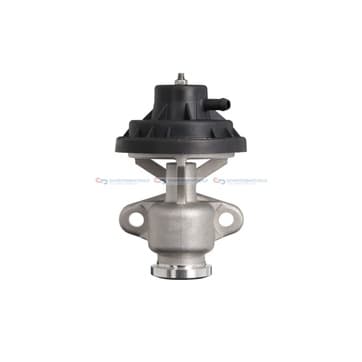 EGR-ventil från Autofrance