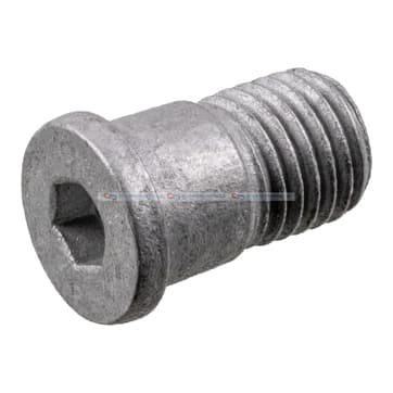 Bult, Bromsskiva M10 x 1,25x 19mm från Autofrance