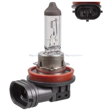 Lampa, Dimljus, fram H11 24V 70W PGJ19-2 från Autofrance