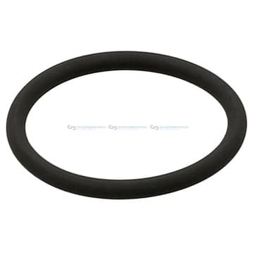 Tätningsring innerø-29,5x tjocklek2,9mm FPM (F från Autofrance