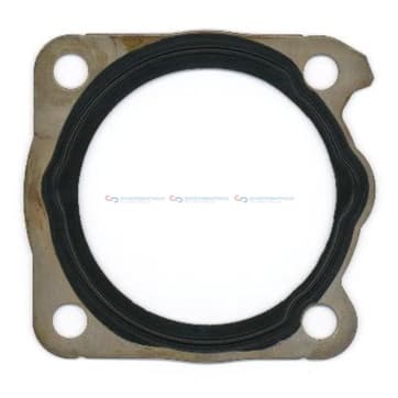 Insugsgrenrörspackning, hus