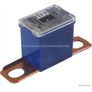 Säkring 100A blau