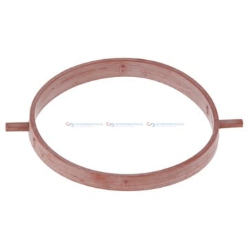 Insugsgrenrörspackning, hus