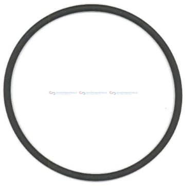 Tätningsring InnenØ-115x AußenØ-125,2x Dick från Autofrance