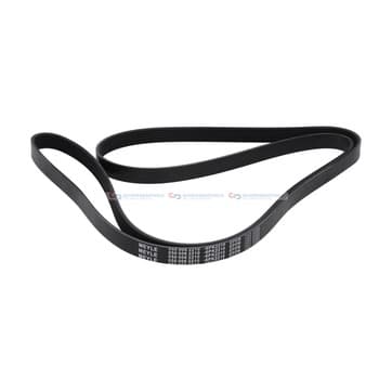 Flerspårsrem 6 från Autofrance