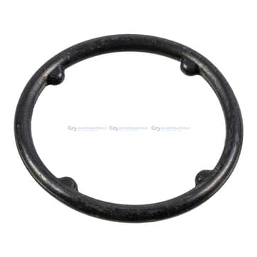 Tätningsring, oil cooler (lubrication) InnenØ-25mm