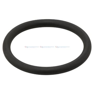 Tätningsring InnenØ-31,2x Dicke3,5mm AEM (E