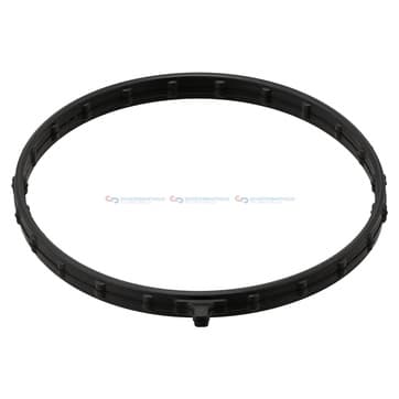 Insugsgrenrörspackning, hus