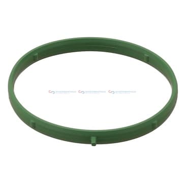 Insugsgrenrörspackning, hus