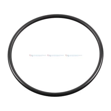 Tätningsring, styrklo