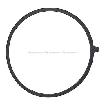 Insugsgrenrörspackning, hus från Autofrance